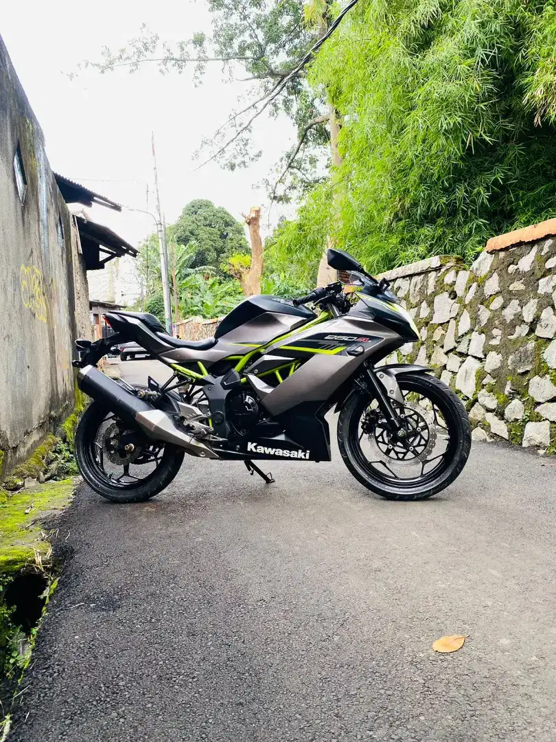 Kawasaki Ninja Mono 250cc Si Se Tahun 2019