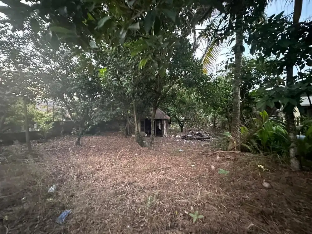 Tanah Kosong cocok untuk kost kost an