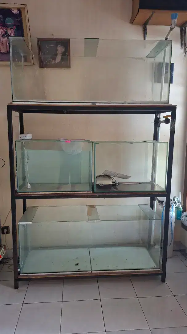 Jual Akuarium dan Rak Akuarium