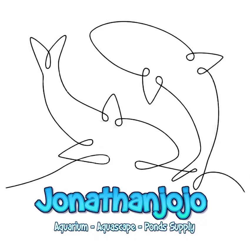 LOWONGAN MANAGER / PENGELOLA TOKO ONLINE