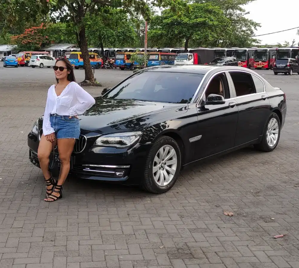 BMW 730Li - 2013 pmk 2015 - DK