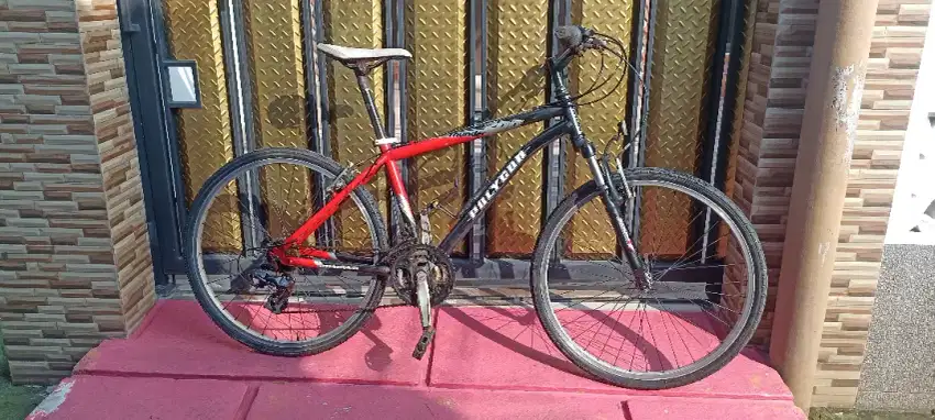 Polygon Tiger 200 size 26