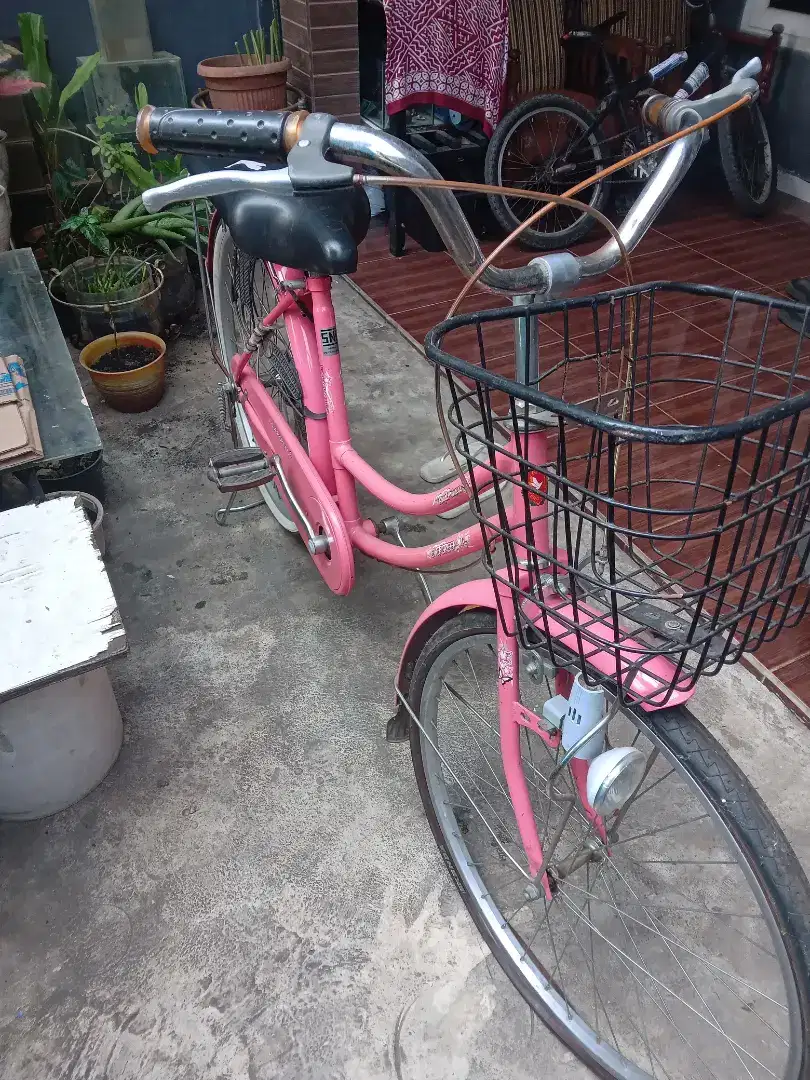 Sepeda mini dewasa