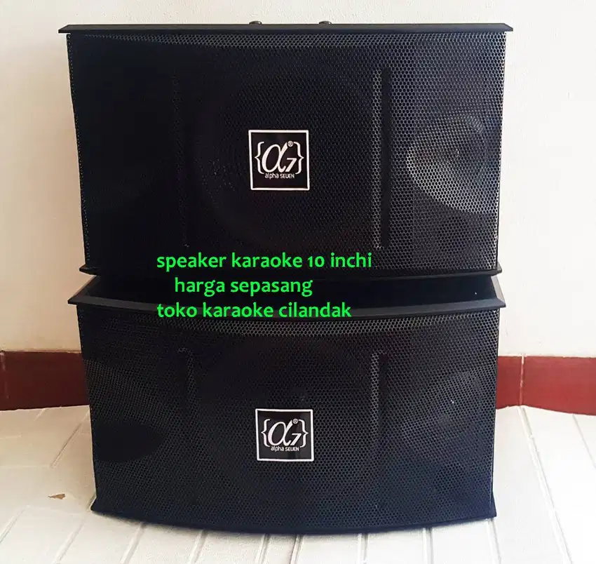 speaker karaoke pasif 10 3way