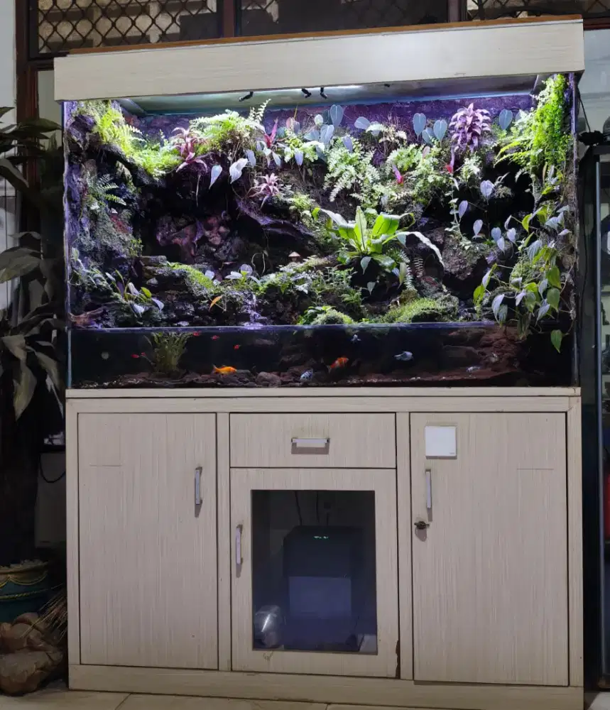 Paludarium untuk ruangan