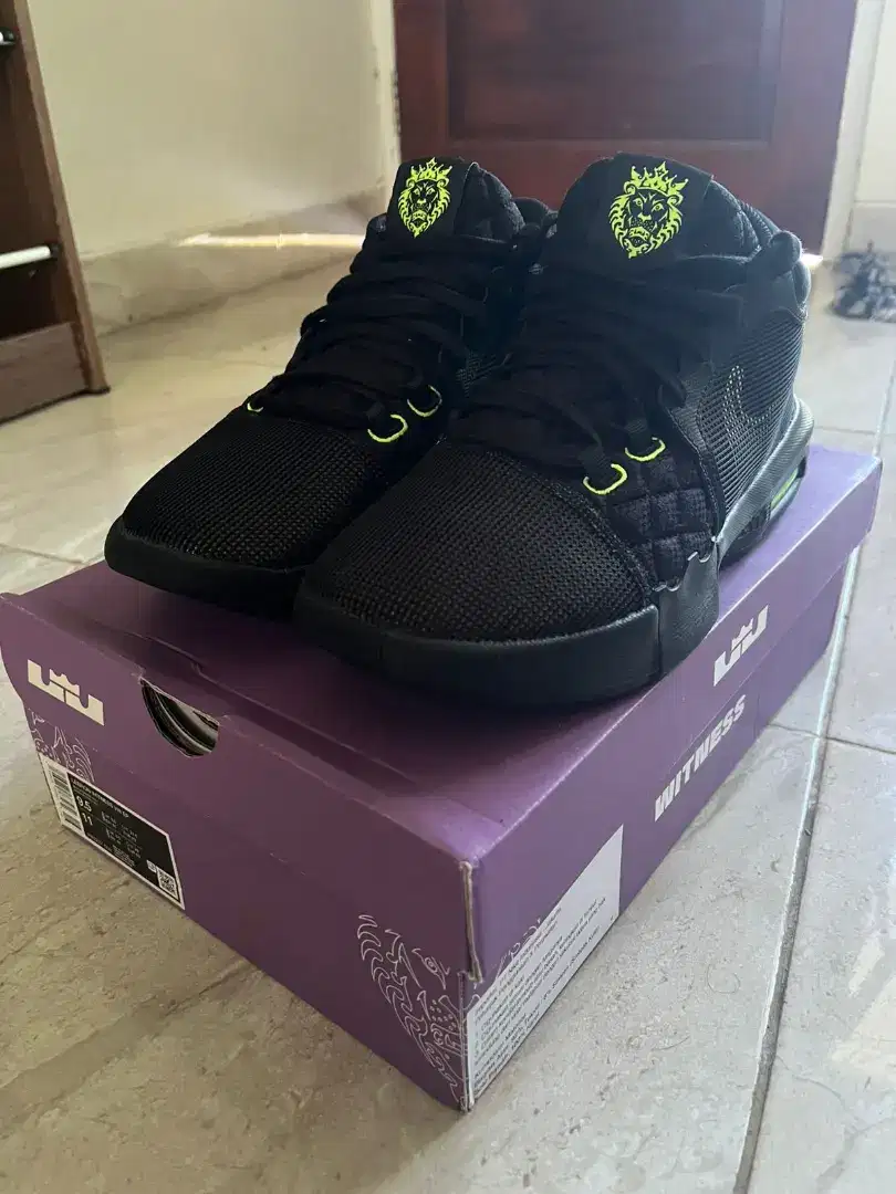 Lebron witness 8