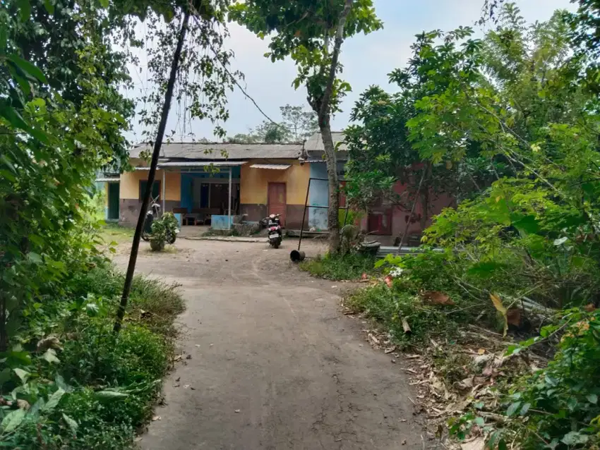 Dijual tanah SHM sawah bonus rumah jl Kaliurang km 12 Gatak Ngemplak