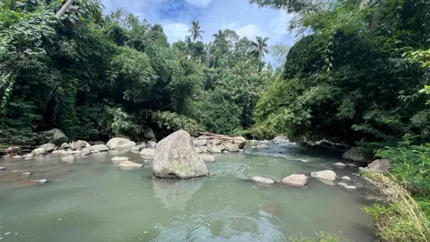 Jual tanah Los sungai cantik di tabanan bali