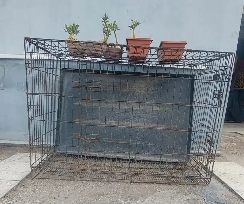 Kandang Anjing Besar