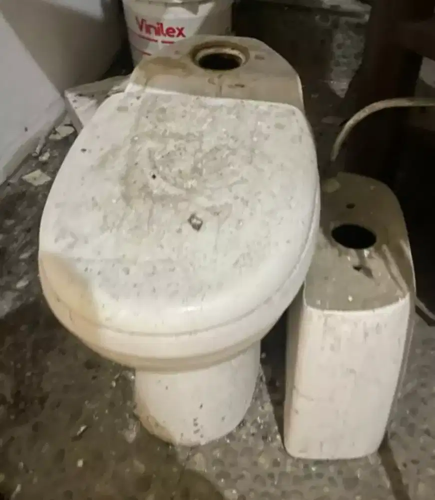 Cleset duduk american standard