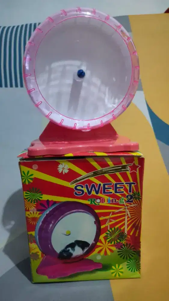 Sweet Rolling 2 (Hamster)