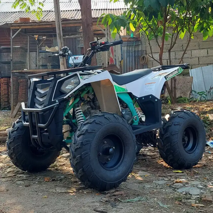 ATV Dewasa 125cc Ring 8