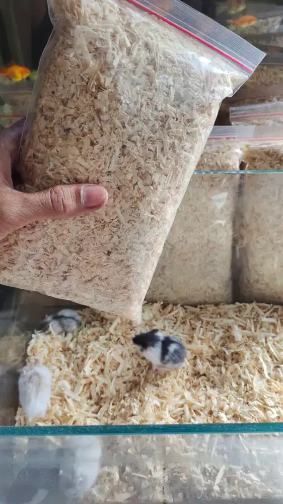 Serbuk kayu hamster, gerbil, hewan peliharaan