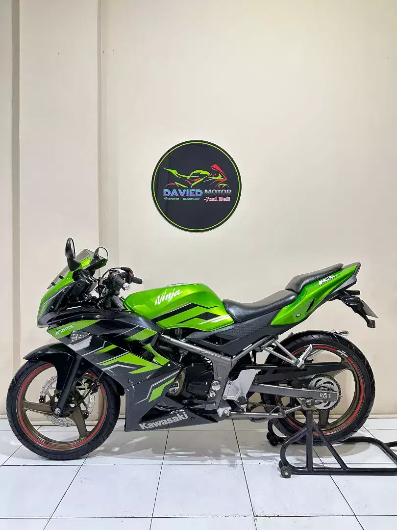 Ninja Rr new 2015