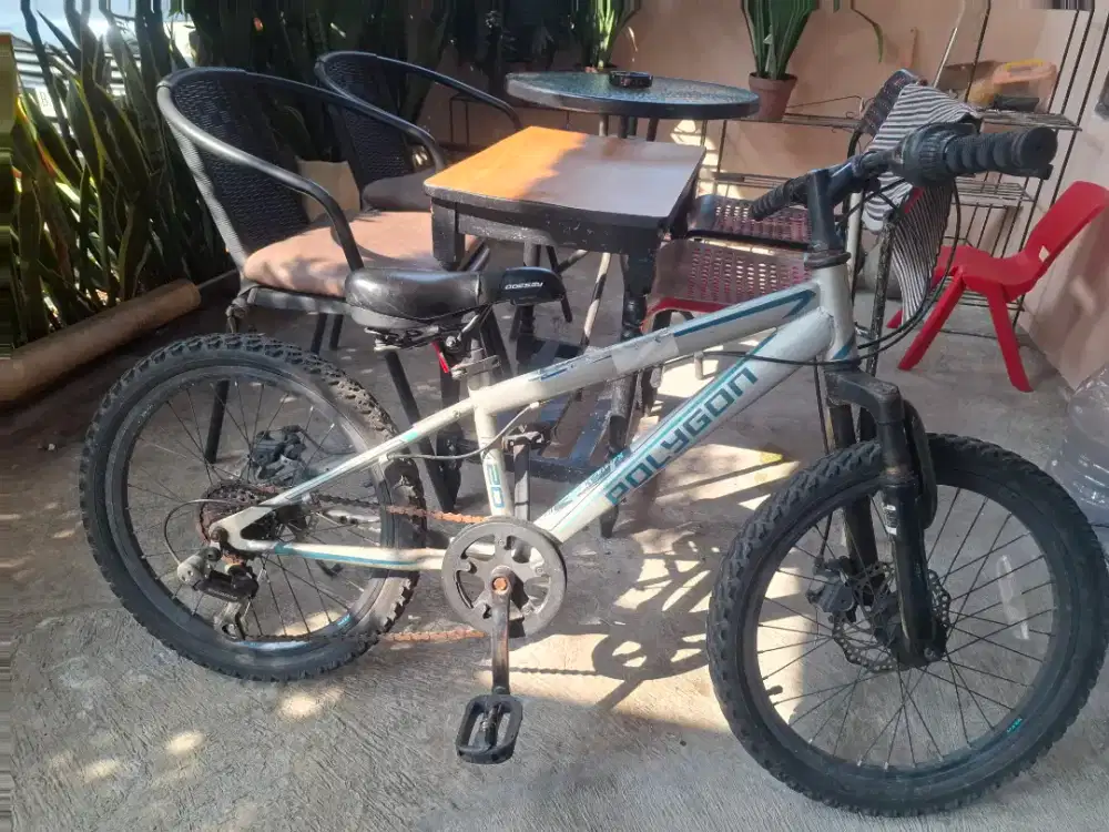 Sepeda Anak Polygon Murah Bagus Gratis sepeda