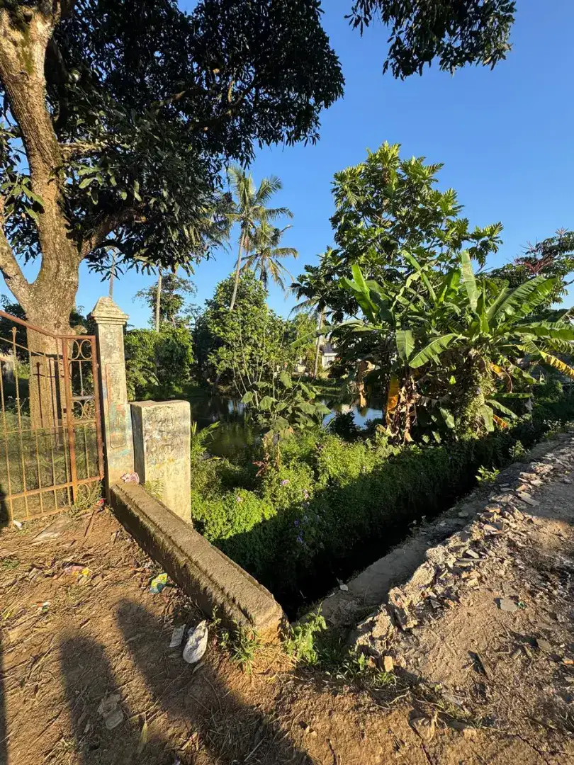 Dijual Tanah 1.800 m² Pinggir Jalan Raya, Cocok Usaha atau Investasi!