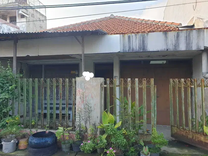 Ngagel wasana deket stts, manyar, pucang, kertajaya