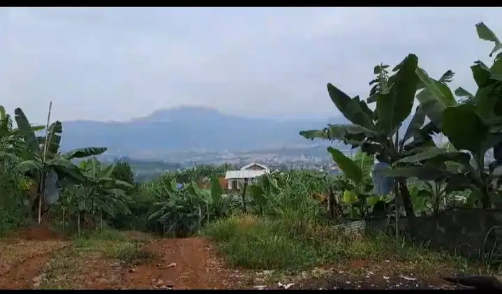 Tanah Kebun di Puncak Simun, Cipanas, Cianjur