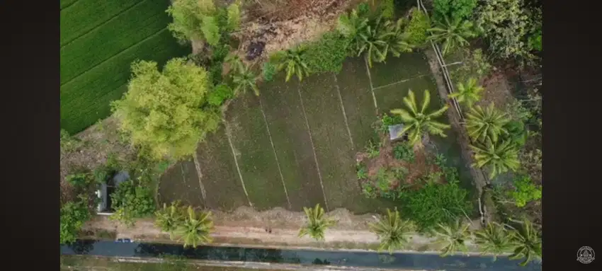 DIJUAL SEBIDANG TANAH LUAS 2.329M² ,LOKASI PONJONG GUNUNGKIDUL