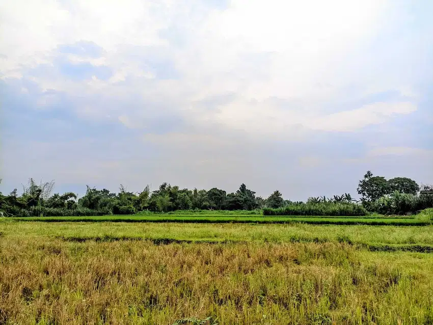 TANAH GODEAN KM.7 SIAP AJB 2 JUTAAN