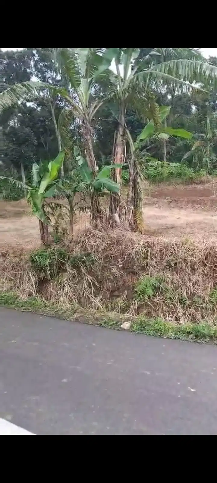 Jual tanah cilimus