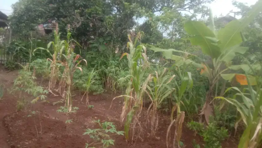 Dijual 2 tanah kavling di Garut, Cibatu, Padasuka