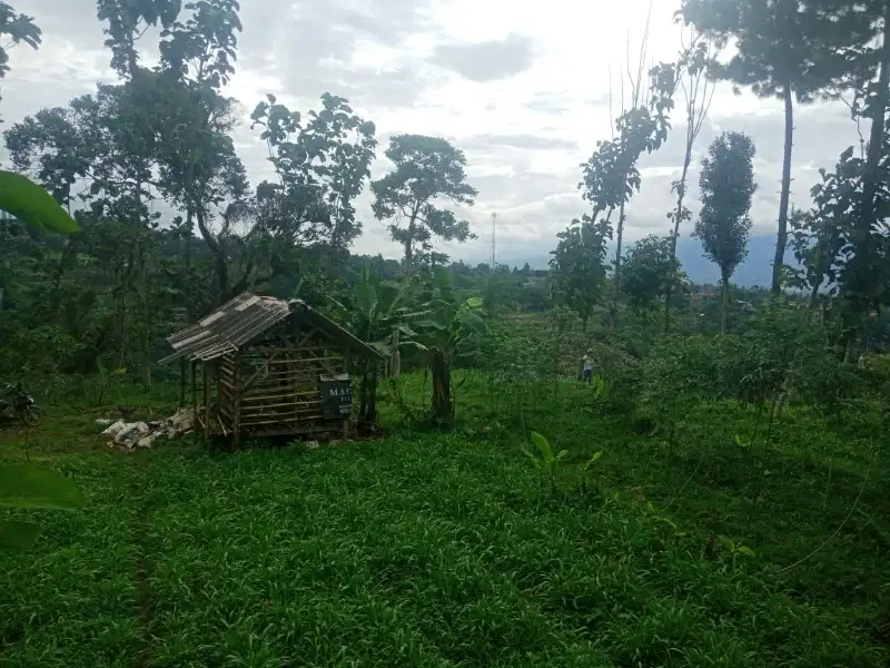 di jual tanah kebun subur di Cidahu sukabumi