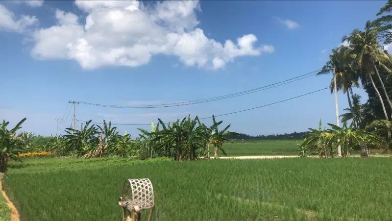 Dijual tanah view laut sangat murah luasan kecil di pasut tabanan bali