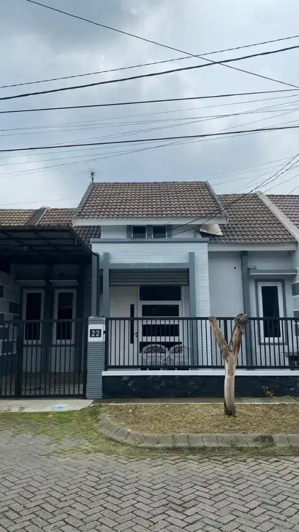Disewakan Rumah Bagus Melon Utara Pondok Tjandra Indah (Renter Only)