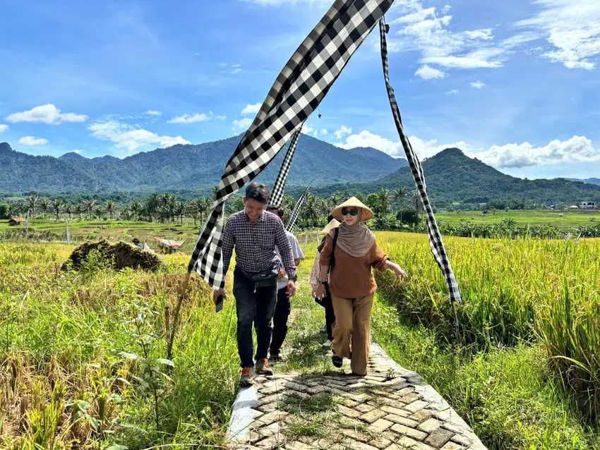 Di Jual Kavling Sawah Estetik dan Produktif Best Seller di Bogor Timur