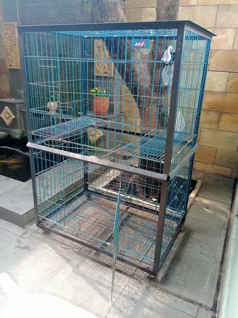 Jual kandang kucing besi