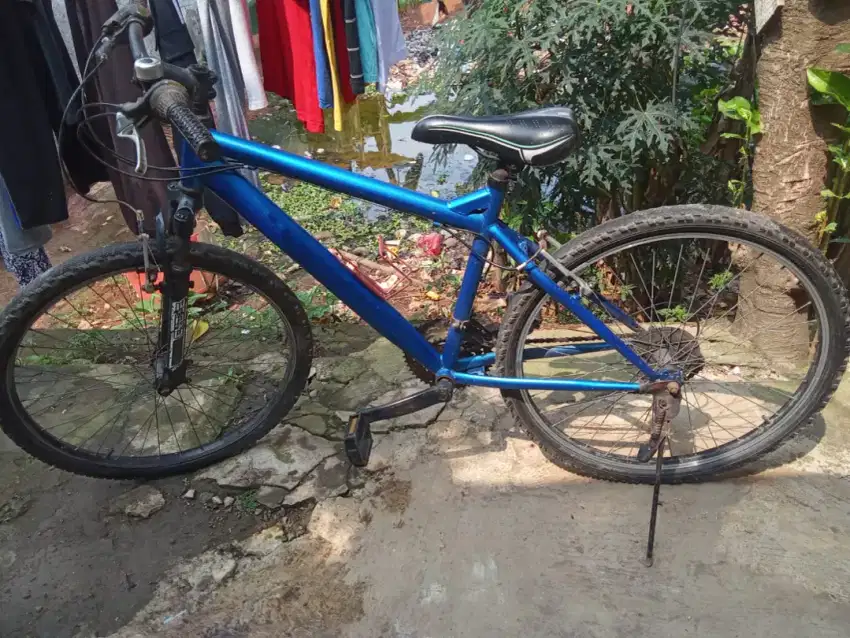 Sepeda Dewasa Nego