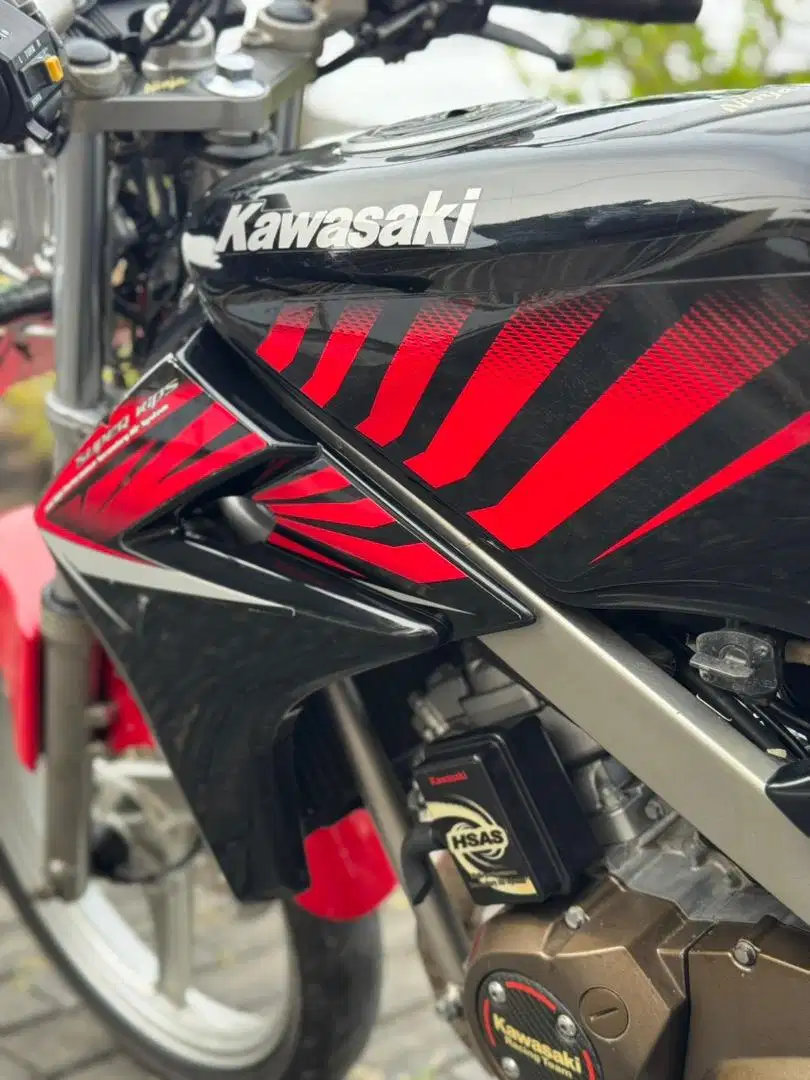 Ninja SS ZEBRA original