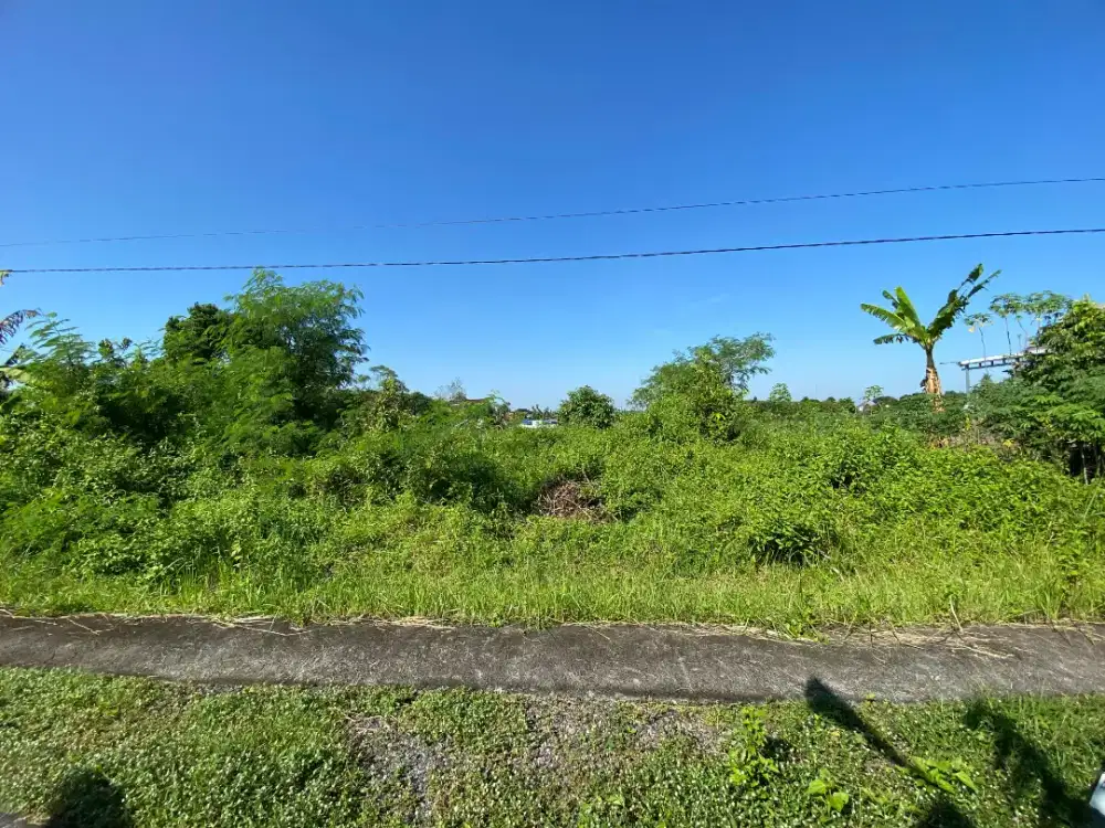 Di Jual Tanah Kavling Murah Lokasi Area Pemda Sleman