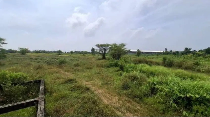 DIJUAL TANAH DI PELANG LAMONGAN MURAH BISA NEGO