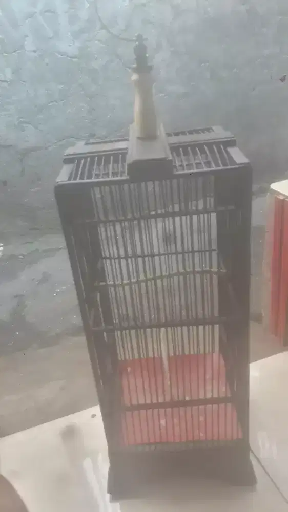 Jual kandang burung pleci masih baru