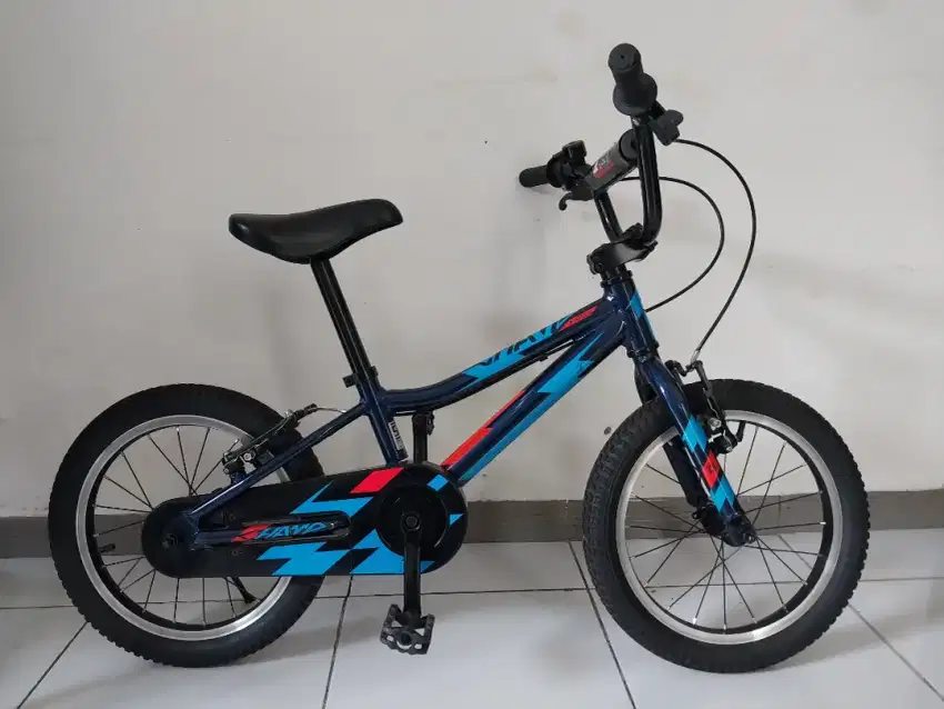 Sepeda anak polygon