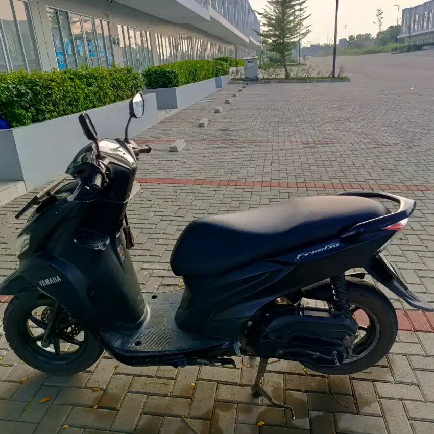 Freego 125 tahun 2019 | Motor Badak
