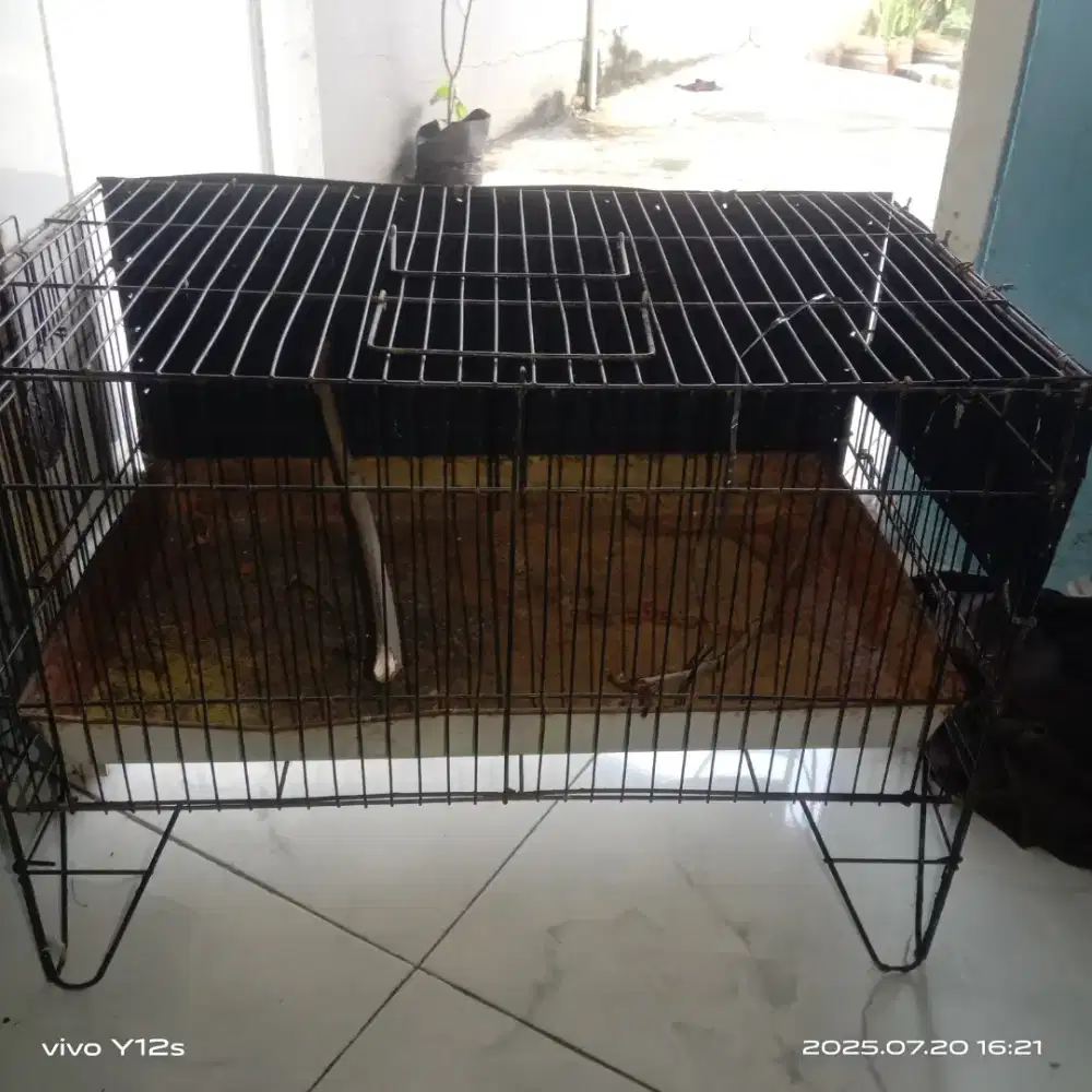 Di jual kerambah mandi burung