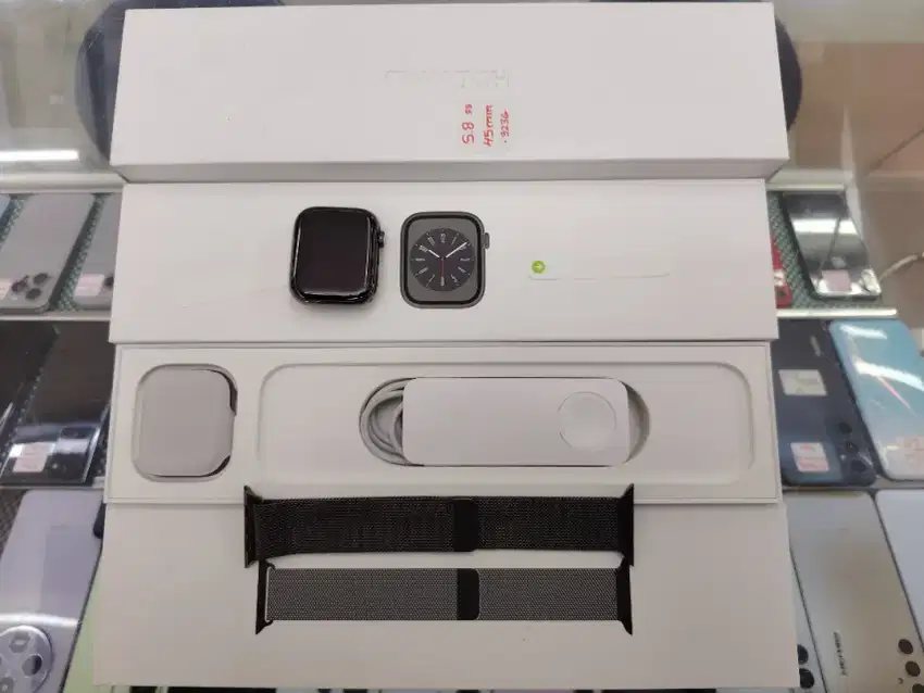 Apple Watch Series 8 Stainless Steel