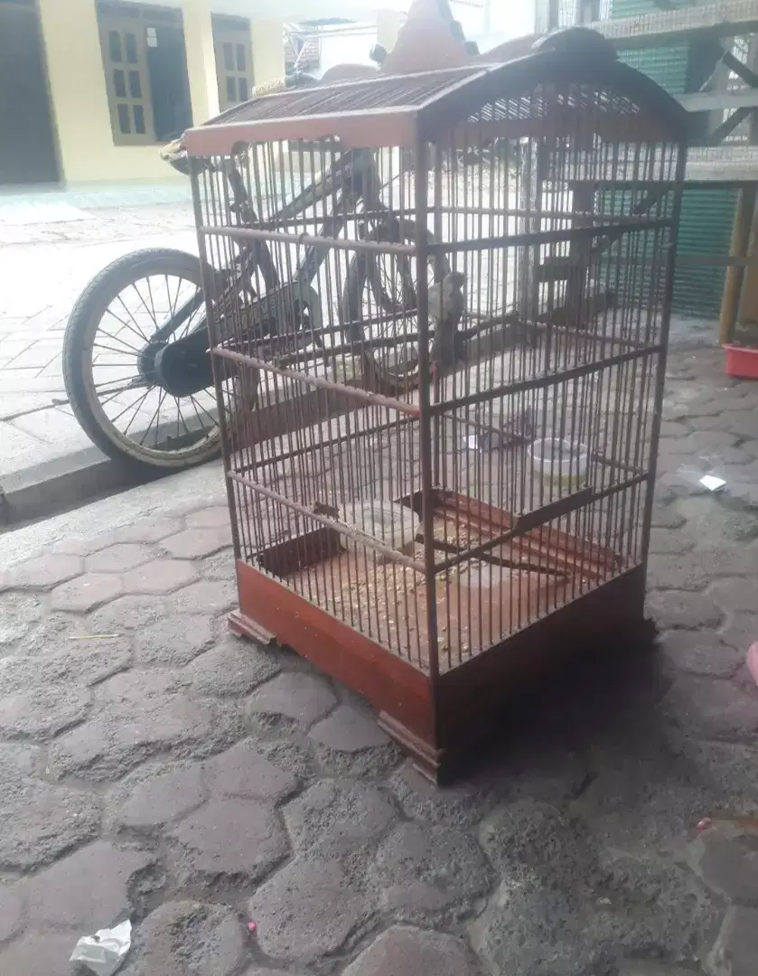 Jual sangkar uk 40 nek gk 37 bekas kacer
