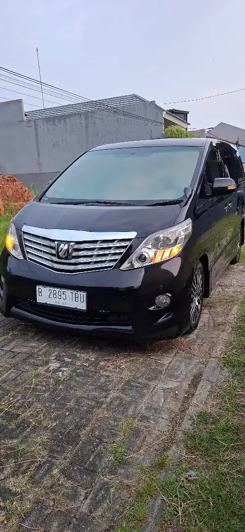Alphard S 2010 alles