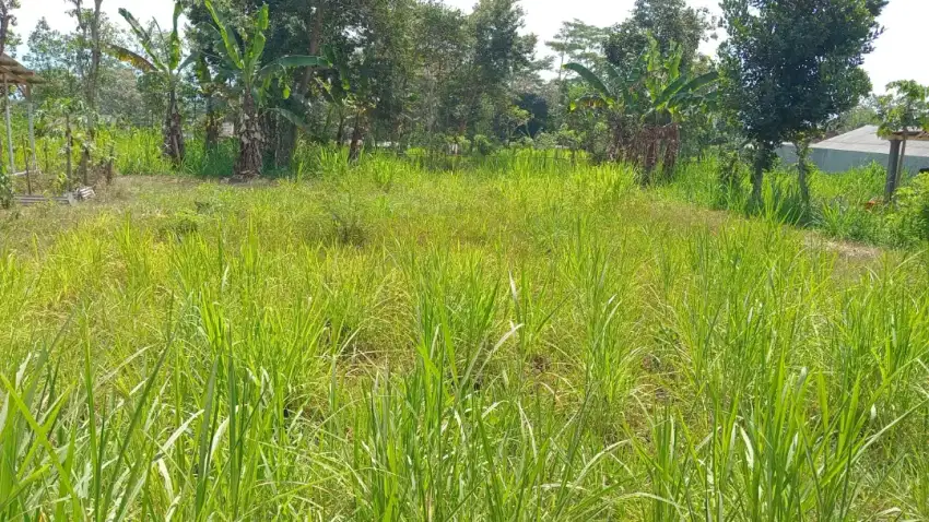 Tanah Tepi Jalan Kampung Dekat Bandara Abd Saleh