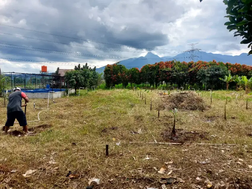 Jual tanah cepat,harga nego