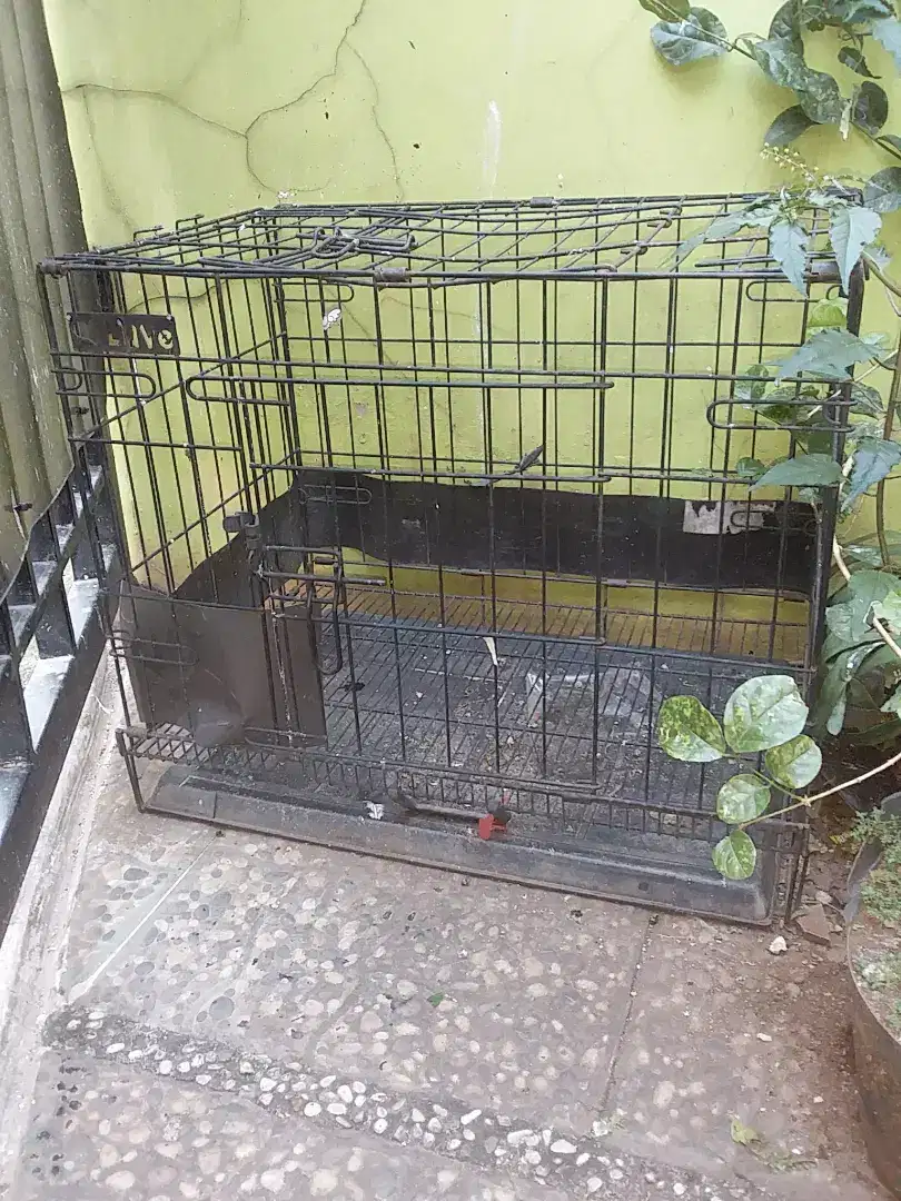 Dijual kandang kucing dll