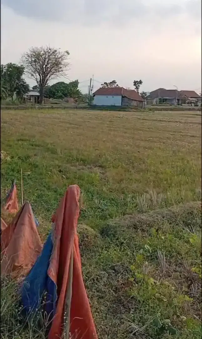 Jual Cepat Tanah Padat Zona Industri Jatiwangi Majalengka Jawa Barat