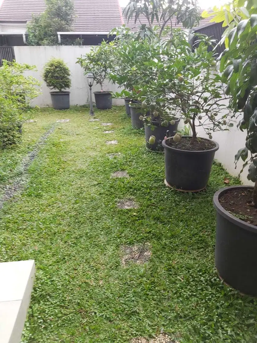 Dijual Rumah Taman Holis Indah