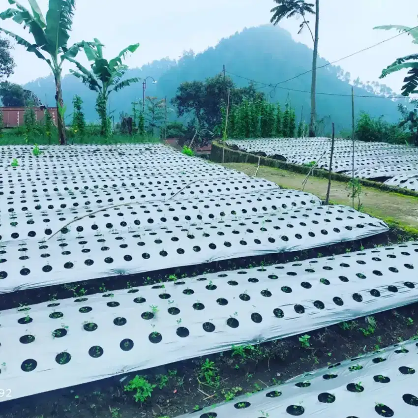 Tanah murah strategis kemuning karanganyar