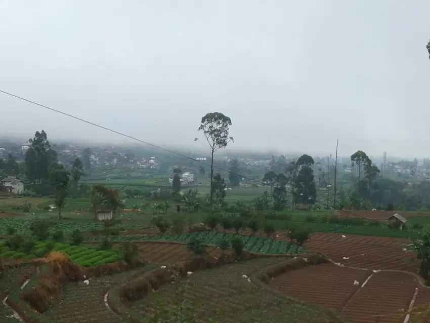Jual Tanah Kebun Murah Strategis di Ciwidey Bandung