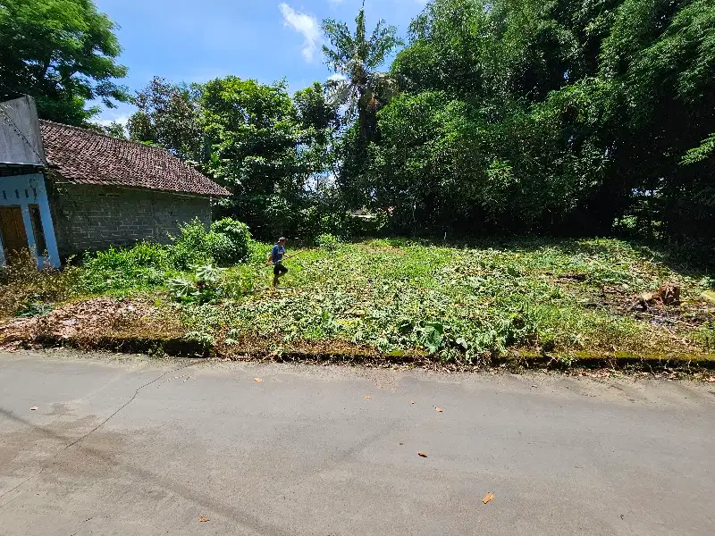 Tanah Pekarangan desa donolayan jalan palagan km 11 sleman